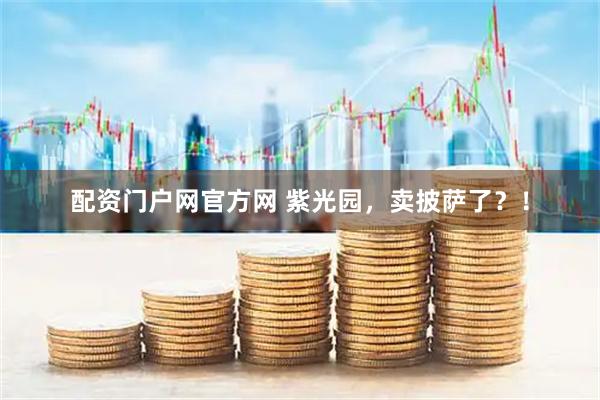 配资门户网官方网 紫光园，卖披萨了？！
