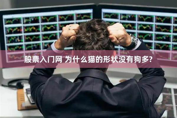 股票入门网 为什么猫的形状没有狗多?